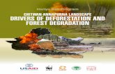 CHITWAN-ANNAPURNA LANDSCAPE DRIVERS OF DEFORESTATION …awsassets.panda.org/downloads/chal_deforestation_report_final__15... · chitwan-annapurna landscape drivers of deforestation