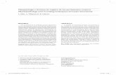 Fisiopatología y técnicas de registro de los movimientos ...scielo.isciii.es/pdf/asisna/v32s3/original2.pdf · FISIOPATOLOGÍA Y TÉCNICAS DE REGISTRO DE LOS MOVIMIENTOS OCULARES