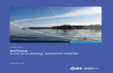 SolTuna tuna processing, Solomon Islands · 2 | SolTuna - tuna processing, Solomon Islands Disclaimer IFC, a member of the World Bank Group, creates opportunity for people to …