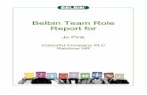 Belbin Team Role Report for - Leadership Solutionsleadershipsolutions.co.nz/downloads/Belbin I7 Individual Report.pdf · Belbin Team Role Report for Jo Pink Colourful Company PLC