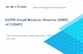 ACPR Small Modular Reactor (SMR) of CGNPC · ACPR Small Modular Reactor (SMR) of CGNPC . 1. ... n Design of electric power system n Design of floating platform and ... Containment