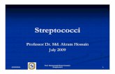 Streptococci -1 akram.ppt - Mymensingh Medical College file/Streptococci -1 akram.pdf · The Streptococci Gram positive,positive, spherical, ... Streptococcus pyogenes: ... Recurrences