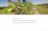 Mexico: Business Opportunities Agro-food & Horticulture - tuinbouw.pdf · facilitated trade conditions and benefitted Dutch exporters. 4 ... ... nuts 166.584 234.720 3.399.015 2%