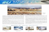 WATERCOLOUR NEW ZEALAND Inc.€¦ · WATERCOLOUR NEW ZEALAND Inc. Newsletter 161 September – November 2015 ... on the development of the watercolour painting style of American artist