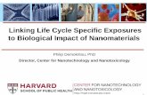 Linking Life Cycle Specific Exposures to Biological Impact ... · Linking Life Cycle Specific Exposures to Biological Impact ... Linking LC specific exposures to biological impact: