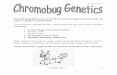 You will work in groups of four. Each group will get one manila ...science-class.net/Biology/genetics-heredity/chromobugs/Chromobugs... · You will work in groups of four. Each group