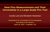Heat Flux Measurements and Their Uncertainty in a Large ... · Heat Flux Measurements and Their Uncertainty in a Large-Scale Fire Test Cecilia Lam and Elizabeth Weckman ... use DFT