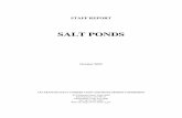 SALT PONDS - BCDCbcdc.ca.gov/planning/reports/salt_ponds.pdf · abundant brine shrimp and brine flies support ... the Alameda song sparrow and salt marsh ... Salt ponds no longer