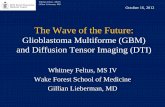 The Wave of the Future - Lieberman's eRadiology Learning …eradiology.bidmc.harvard.edu/LearningLab/central/Feltus.pdf · Whitney Feltus, MS IV Gillian Lieberman, MD The Wave of