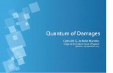 Quantum of Damages - EJTN · The harmonization of substantive laws relating to the quantum of damages ... Directives 72/166/EEC of 24 April 1972, 84/5/EEC of 30 December 1983, 90/232/EEC