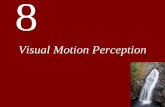 Visual Motion Perception - San Jose State University · important role in motion perception. ... Figure 8.13 Biological motion can be seen compellingly when lights attached to a moving