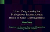 Linear Programming for Phylogenetic Reconstruction Based …stelo/cpm/cpm05/cpm05_10_2_Tang.pdf · 2005-07-08 · Linear Programming for Phylogenetic Reconstruction Based on Gene