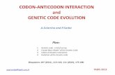 CODON-ANTICODON INTERACTION and GENETIC CODE EVOLUTION · CODON-ANTICODON INTERACTION and GENETIC CODE EVOLUTION A.Sciarrino and P.Sorba Plan: 3. Biosystems 107 (2011) ,113-119; 111