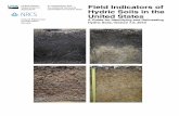 Field Indicators of Hydric Soils in the United States€¦ · Field Indicators of Hydric Soils in the United States A Guide for Identifying and Delineating Hydric Soils, Version 7.0,