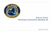 Breezy Point Planning Committee Meeting #6 · Breezy Point Planning Committee Meeting| 3 Committee Meeting #6: Project refinement Identify Assets, Risks, Needs, Opportunities Define