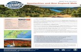 100% TRIP OVERVIEW - USA Trips & American Tours ... · NEW YORK NOR TH CAROLINA NOR TH DAKO A OHIO ... Explore the lesser known Acadia National Park on Mount Desert Island, blessed