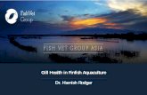 Gill Health in Finfish Aquaculture Dr. Hamish Rodgerfishvetgroup.asia/wp-content/uploads/2015/07/Hamish-VIV-Asia... · Gill Health in Finfish Aquaculture Outline Gill disease background