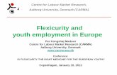 Flexicurity and youth employment in Europe - dea.nu Kongshøj Madsen... · From employment to unemployment, 2008 To Unemployment Denmark *DK Finland *FI Norway *NO Sweden *SE Greece