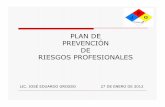 PLAN DE PREVENCIÓN DE RIESGOS PROFESIONALESbiamericas.com/presentaciones/2012/saludOcupacionalYseg... · 2012-05-02 · • Control y Prevención de riesgos • Capacitación y entrenamiento