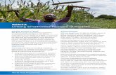 KENYA Linking Smallholder Farmers to Markets - wfp.org Factsheet-Nov2015-Update... · About 13,000 farmers, small traders and partners (among them 7,845 women) ... financial literacy,