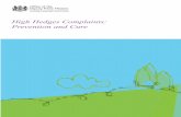 High Hedges Complaints: Prevention and Cure · Chapter 6: Remedial notices 42 Contents of the Notice 42 ... The law is contained in the relevant primary and secondary legislation;