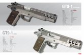 GT II 9-1 GT Calibre: 9 mm .45 ACP Model: GT 9-1 TITANIUM · GT9-1 GT 45 II Model: 45GT 9-1 GT II Calibre: 9 mm .45 ACP Magazine: 17 rounds 13 rounds Weight: 1145 g 1095 g Sight radius: