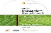 The Ecosystem Services Benchmark - United Nations ... · business. The Ecosystem Services Benchmark, a key output from the Natural Value Initiative, has been developed to better enable