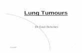 Lung Tumours - University of Pretoria · lung tumours ¾Small cell ... malignant lung tumours 1. Symptoms: Depend on the size, location and metastases a. ... collapse/consolidation/formation