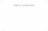 (E) Audit of a Small Entity - castore.ca · Audit of a small entity / principal author, ... Discuss common audit problems and auditor-client relationships in a small ... Timing of
