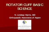ROTATOR CUFF BASIC SCIENCE - Denver, Colorado · Blood Supply Innervation ... Muscle/Tendon Anatomy ... Maintain function in presence of rotator cuff tear or partial surgical repair