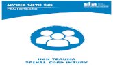 Non Trauma Spinal Cord Injury - Spinal Injuries Association · 2 Non Trauma Spinal Cord Injury ... A spinal stroke can occur when there is disruption in the blood supply ... Refers