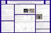 Detection of Bilirubin using Raman Spectroscopy in a ...roarke/research/Duke/Bilirubin_Raman.pdf · Detection of Bilirubin using Raman Spectroscopy in a Neonatal Skull Roarke Horstmeyer,