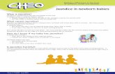Jaundice in newborn babies - CHEO - Resources/Jaundice in newborn bab · Jaundice in newborn babies