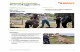 Animal Behaviour Fear and aggression - The Brooke Welfare... · Animal Behaviour Fear and aggression SEBWAT parameter (standardised e quine-Based Welfare a ssessment tool) Observer
