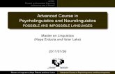 Advanced Course in Psycholinguistics and Neurolinguistics ... · INTRO: Possible and Impossible Grammars Is Broca the seat of Syntax? Advanced Course in Psycholinguistics and Neurolinguistics