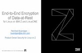 End-to-End Encryption of Data-at-Rest -  · Notes: Performance is in Internal Throughput Rate (ITR) ... DataStage* DB2* GDPS Global Business Services* IBM* IBM (logo)* InfoSphere