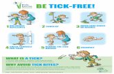 TICKS ARE SMALL, INSECT-LIKE CREATURES ONCE A TICK …ecdc.europa.eu/sites/portal/files/media/en/healthtopics/emerging... · be tick-free! what is a tick? why avoid tick bites? ticks
