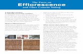 The Facts on Efflorescence - CertainTeed | Home · it’s important to gain an understanding of a naturally occurring condition called effl orescence which may ... to know efflorescence