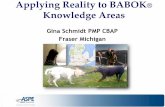 Applying Reality to BABOK Knowledge Areas€¦ · Applying Reality to BABOK ® Knowledge Areas Gina Schmidt PMP CBAP Fraser Michigan