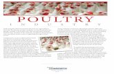 POULTRY - agriculture.ks.gov · broiler and turkey production while a majority of the state’s ... (HACCP) standards. ... • A genetics company opened their first Kansas farm in