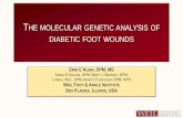 THE MOLECULAR GENETIC ANALYSIS OF DIABETIC … 2017.pdf · THE MOLECULAR GENETIC ANALYSIS OF DIABETIC FOOT WOUNDS ERIN E K ... Organisms must be ALIVE when they arrive at the lab