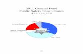 2011 General Fund Public Safety Expenditures … · 2011 General Fund Public Safety Expenditures $24,238,528 ... (PPO) in the Michigan Law Enforcement Information ... (coordinated