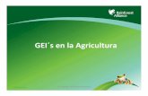 GEI´sen la Agricultura - Infobosques · SYSCO SEKEM ABERDEEN Alliance . ... analisis de ciclo de Vida . Rainforest Estudio de caso — café Kenia Promedio de emisiones en la finca