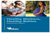 Healthy Mothers Healthy Babies Assessment Report … · The Healthy Mothers, Healthy Babies Assessment could ... The 2014 South Carolina infant mortality rate was the ... This report
