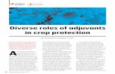 Diverse roles of adjuvants in crop protection - …citrusagents.ifas.ufl.edu/info/pdf/ceu/2017_August.pdf · 24 Citrus Industry August 2017 C N T R A LE U C Diverse roles of adjuvants