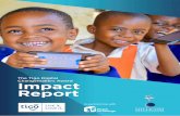 Impact Report - millicom.com · enabling us to not only help entrepreneurs to make their ... Social entrepreneurs report quarterly on both their own organizational development (e.g.