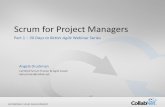 Scrum for Project Managers - Welcome to the … for Project Managers Part 1 – 30 Days to Better Agile Webinar Series Angela Druckman Certified Scrum Trainer & Agile Coach ...