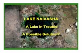 Lake Naivasha - Kenya - A Lake in Trouble - VETIVER Naivasha_o.pdf · THE PROBLEM Significant and dangerous reduction in the size of the Lake Naivasha water body and serious degradation