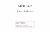 MCB 5472 - University of Connecticutweb.uconn.edu/gogarten/mcb5472_2012/class11_2012.pdf · It would be great to do both, i.e., conclude codon 176 in the vacuolar ATPases was under