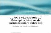 CCNA 1 v3.0 Módulo 10 Principios básicos de enrutamiento y ...inkanegocios.com/viajes/wp-content/uploads/2013/08/... · Principios básicos de enrutamiento y ... • Enumerar varios